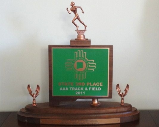 2011 AAA 3rd place